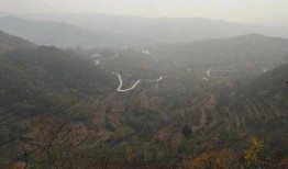 莱芜大山爆料最新消息,揭秘神秘事件背后的真相